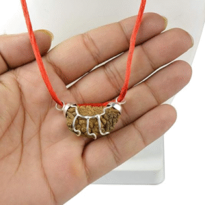 1 Mukhi Rudraksha One Faced Rudraksha Pendant Original Rudraksha Locket