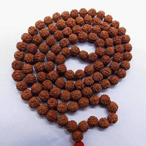 Haridwar Divine 108 Beads Rudraksha Natural Seed Prayer Beads